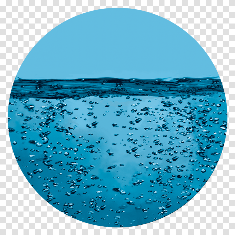 Apollo Underwater Water Drops Crows And Bare Trees In Winter, Rug, Window, Sphere, Droplet Transparent Png