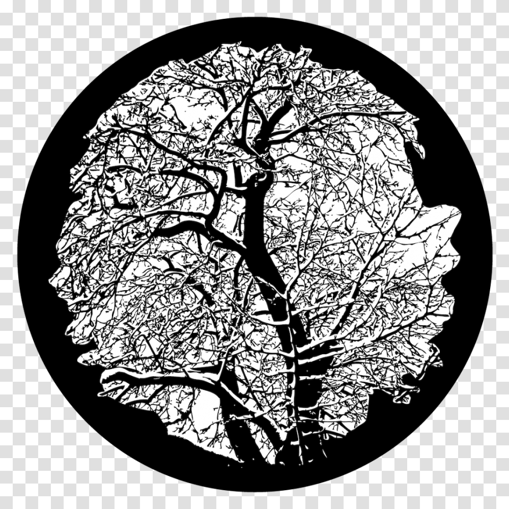 Apollo Winter Tree Sr1116 Circle, Lamp, Pattern, Drawing, Art Transparent Png