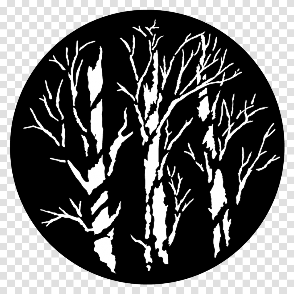 Apollo Winter Trees Apollo Winter Trees Gobo, Silhouette, Stencil Transparent Png