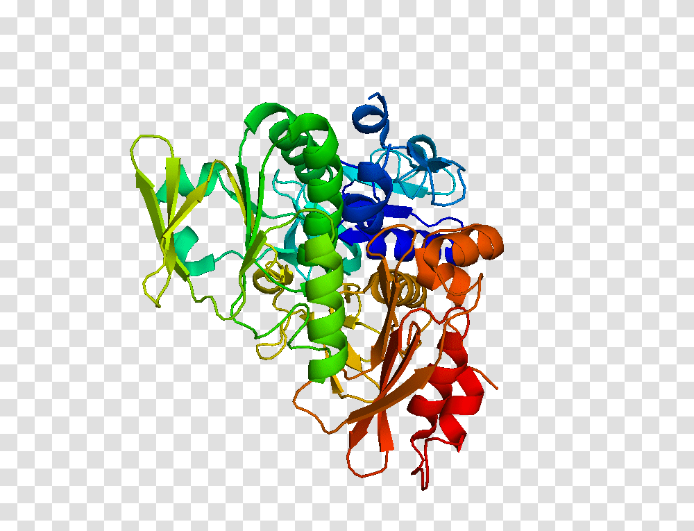 Apoptosis Inducing Factor, Doodle Transparent Png