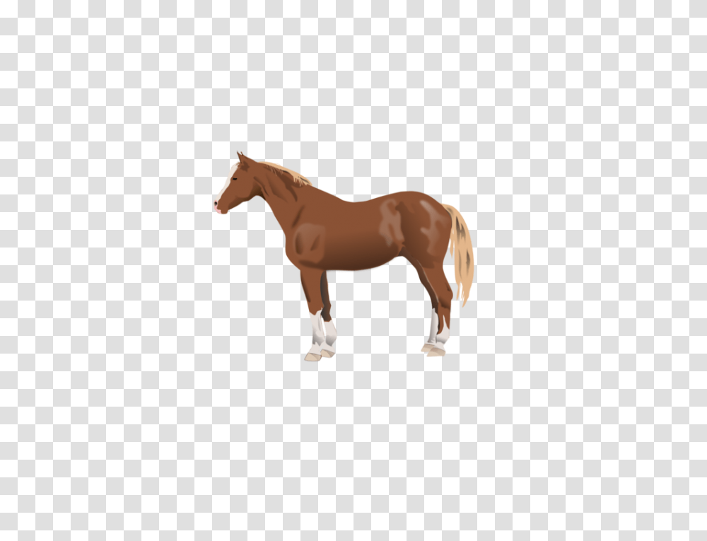 Appaloosa American Paint Horse American Quarter Horse Mustang, Mammal, Animal, Colt Horse, Foal Transparent Png