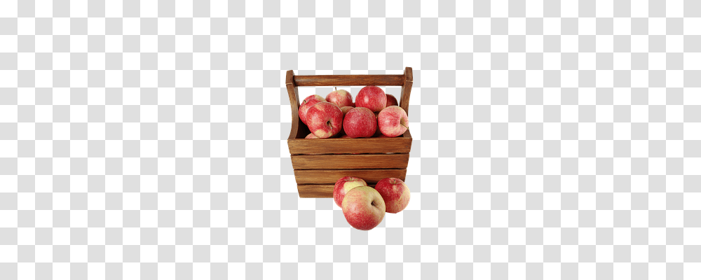 Apple Technology, Plant, Fruit, Food Transparent Png