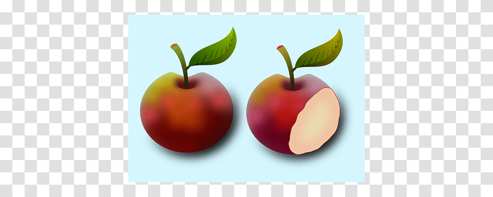 Apple Plant, Fruit, Food, Cherry Transparent Png