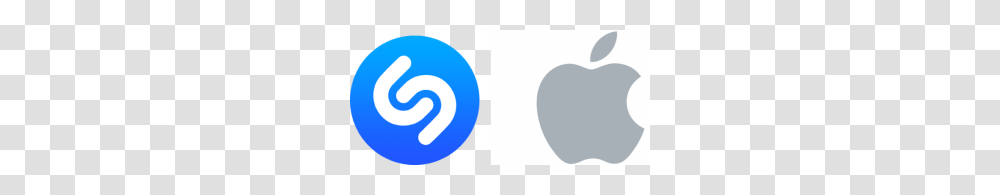 Apple And Shazam Team Up To Deliver Magic For Their Users, Wasp, Animal, Hornet Transparent Png