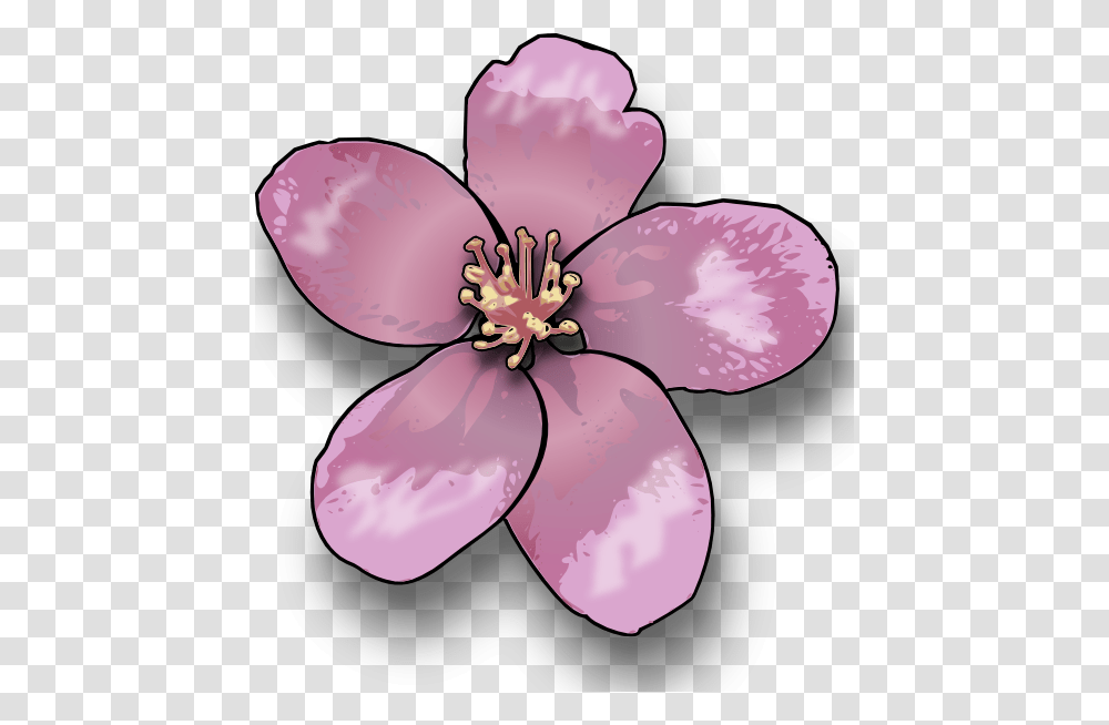 Apple Blossom Clip Art, Plant, Flower, Petal, Geranium Transparent Png