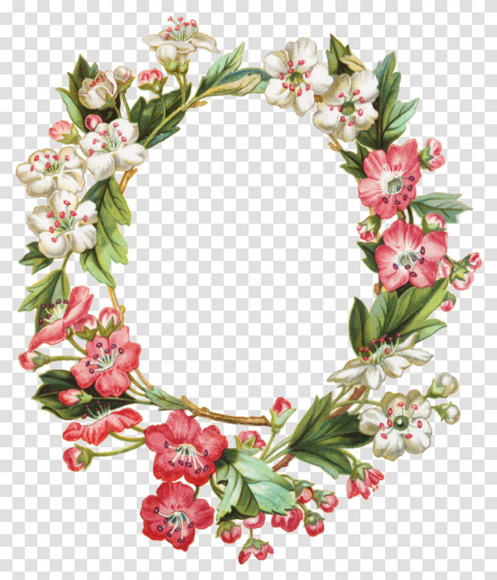 Apple Blossom Clipart Frames Flowers, Plant, Floral Design, Pattern Transparent Png