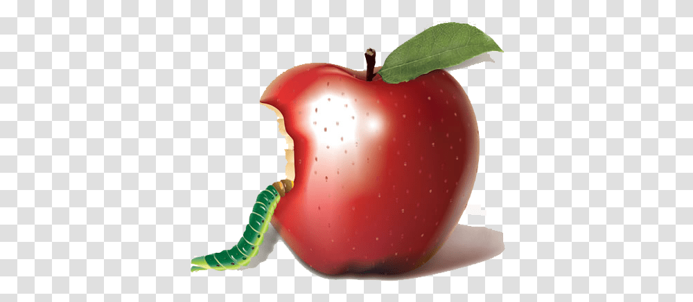 Apple Bobbing Biting Auglis Apple Insect, Plant, Fruit, Food Transparent Png