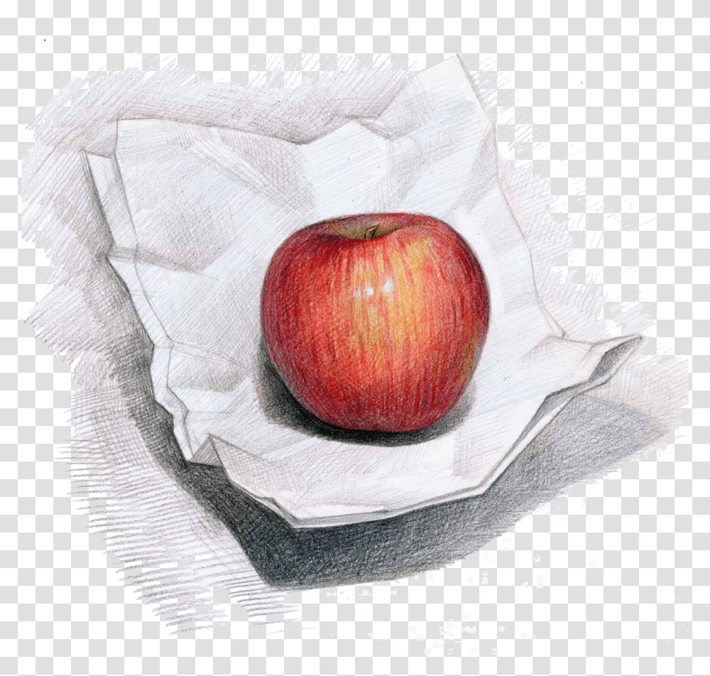 Apple Campus Painting Hand Color Pencils Drawing Of Fruits Transparent Png