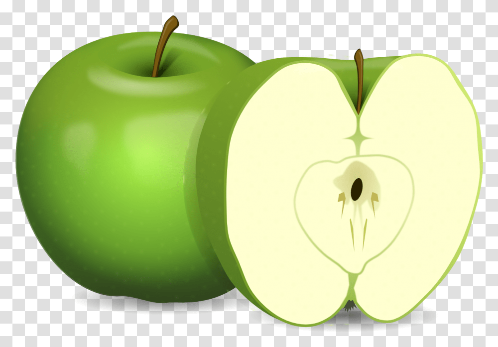 Apple Clipart Apple Vector, Plant, Fruit, Food Transparent Png