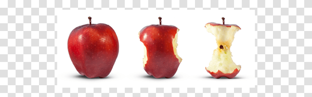 Apple Core With Seeds, Plant, Food, Fruit, Peel Transparent Png
