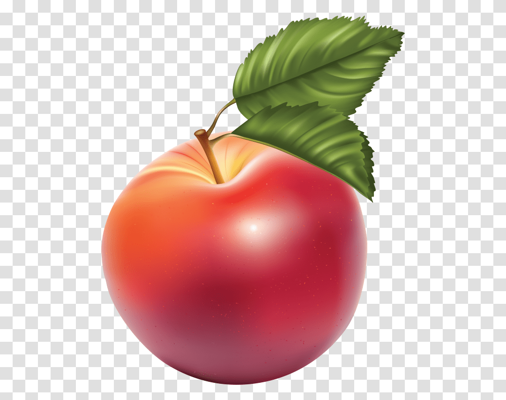 Apple Drawn Using Photoshop Images Download Imagenes De Manzanas, Plant, Fruit, Food Transparent Png
