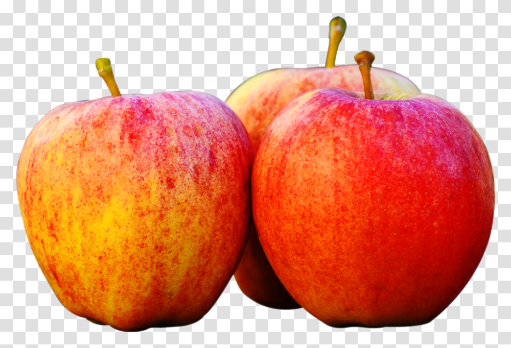 Apple Fruit Clip Art Apple Images In, Plant, Food Transparent Png