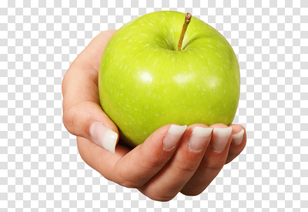 Apple Fruit Healthy Hand Offer Grannysmith Apple In Hand, Plant, Person, Human, Food Transparent Png