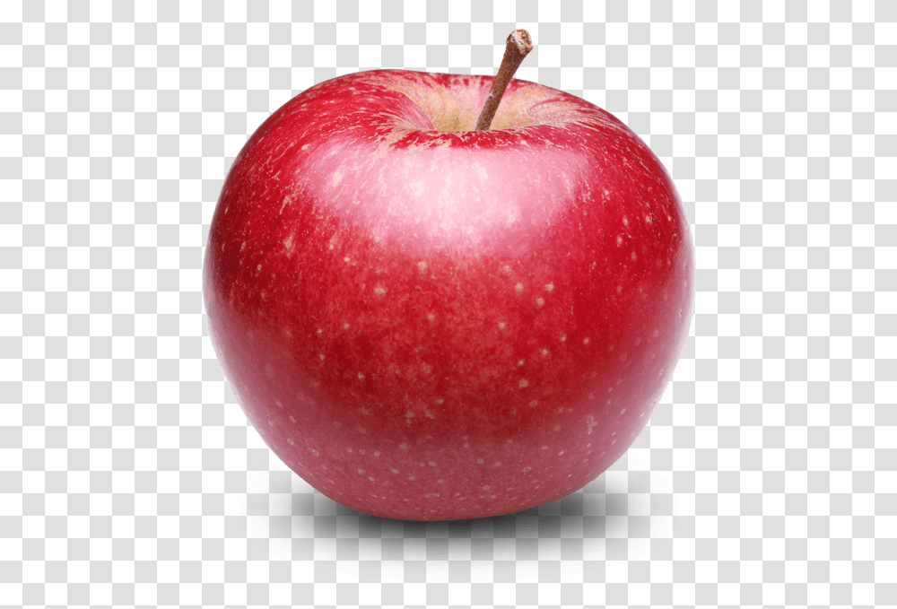 Apple Fruit Hq Image Apple, Plant, Food Transparent Png