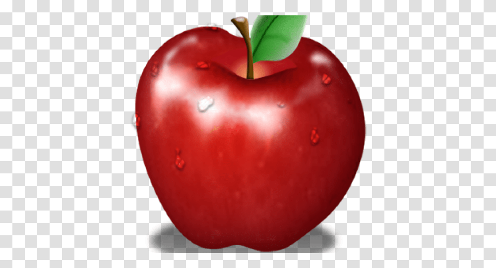 Apple Fruit Images Apple Picture With Words, Plant, Food, Plum, Cherry Transparent Png