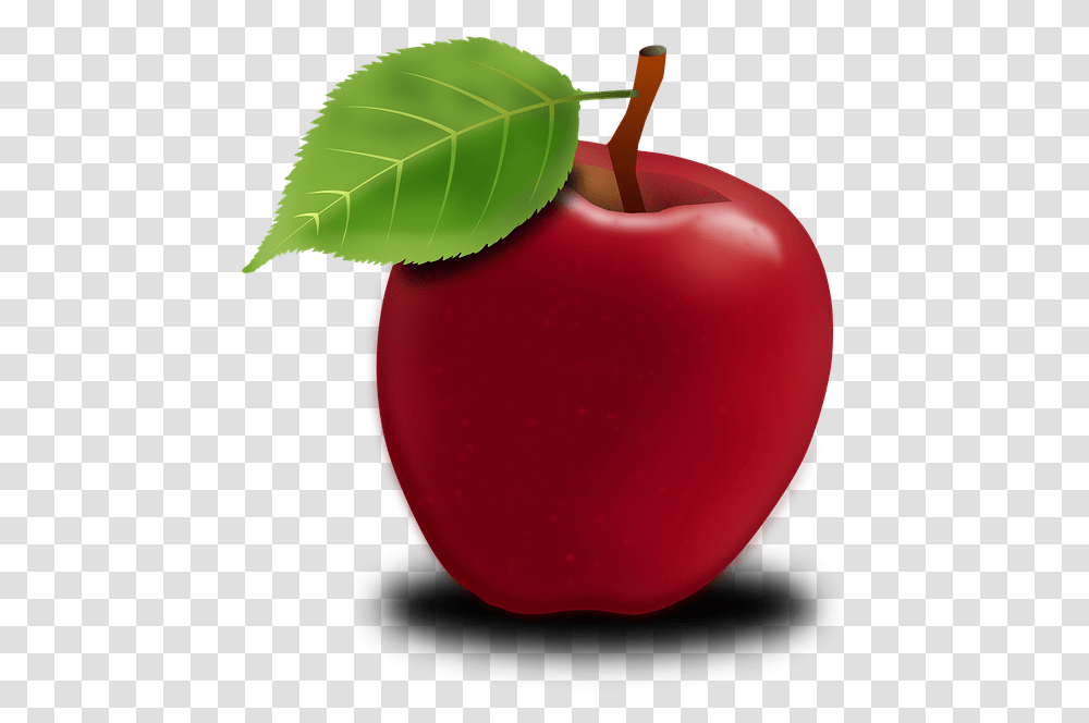 Apple Fruit Information In English, Plant, Food, Balloon, Tennis Ball Transparent Png