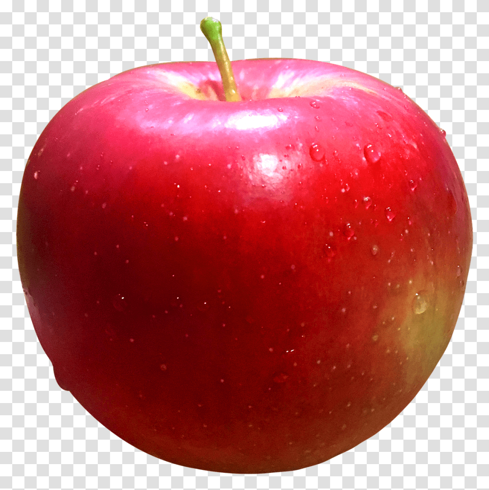 Apple Fruit, Plant, Food, Ketchup, Vegetable Transparent Png