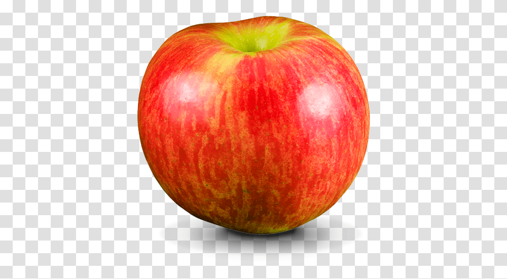 Apple Fruit, Plant, Food Transparent Png