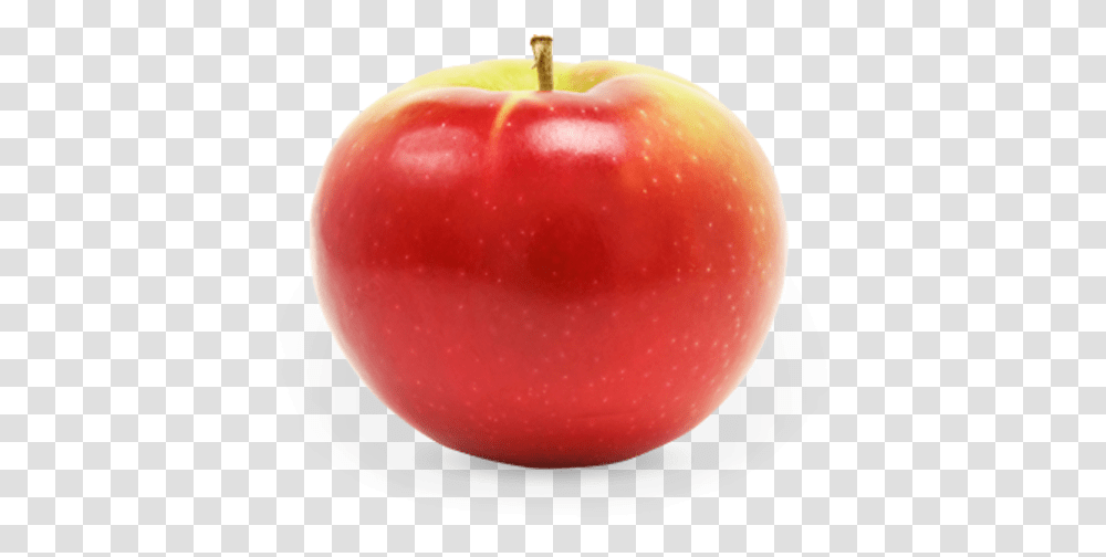 Apple Fruit, Plant, Food, Vegetable Transparent Png