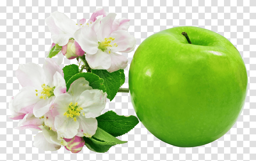Apple Green Flowers Stickpng Apple Crown Royal Gifts, Tennis Ball, Sport, Sports, Plant Transparent Png