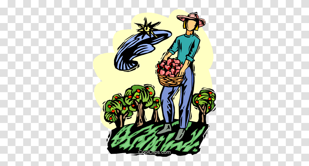 Apple Harvest Royalty Free Vector Clip Art Illustration, Plant, Person, Fruit, Food Transparent Png
