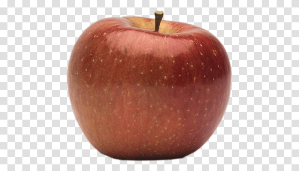 Apple Holler Evercrisp Apple Mcintosh, Fruit, Plant, Food Transparent Png