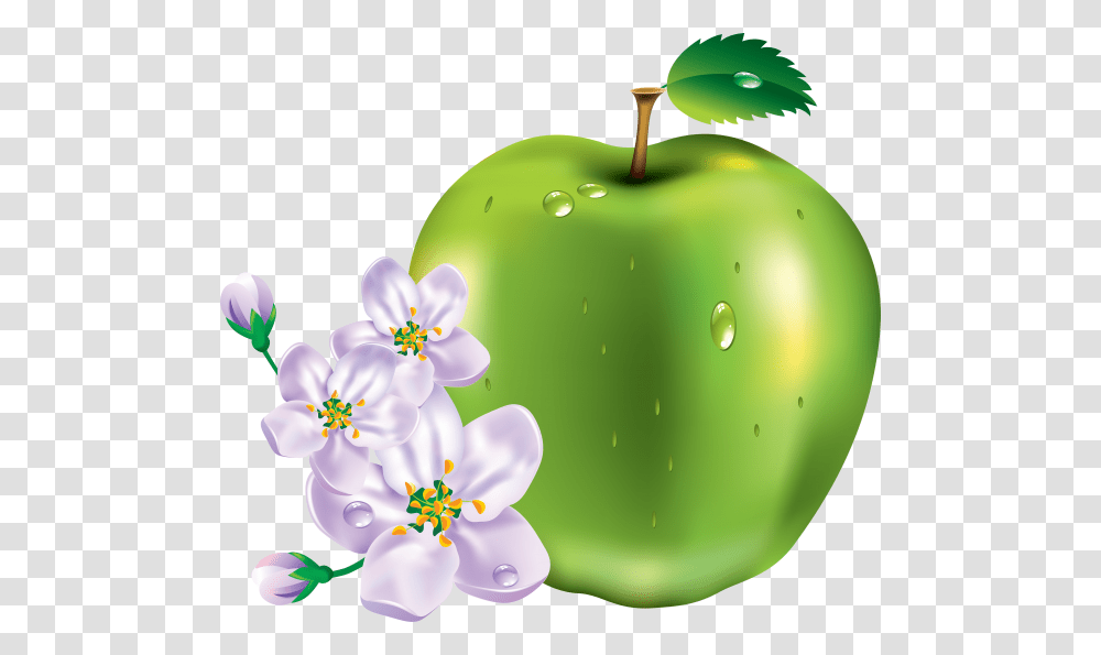 Apple Icon With Apple Flower Apple And Flower, Plant, Fruit, Food, Blossom Transparent Png