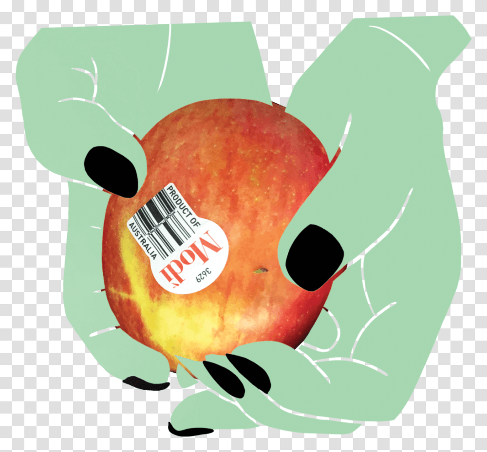 Apple In Hands, Plant, Fruit, Food, Peel Transparent Png