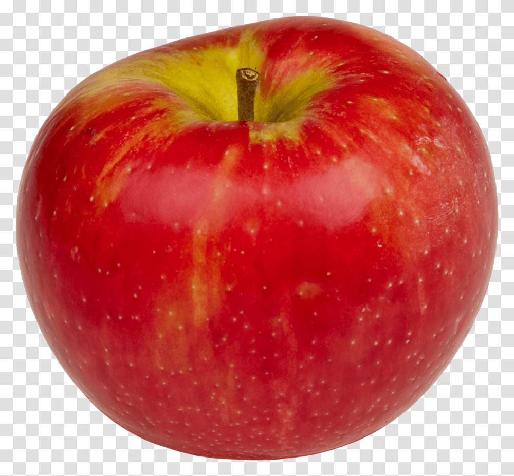 Apple In High Resolution Fruits With Many Seeds Transparent Png