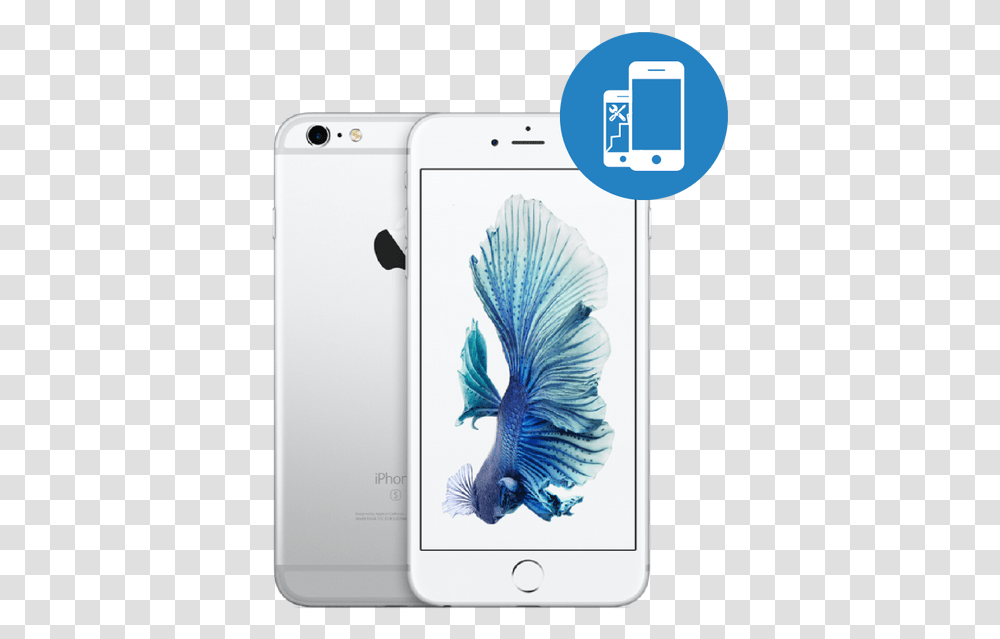 Apple Iphone 6s Plus 16gb Mku12 Silver Iphone 6s Colours, Mobile Phone, Electronics, Cell Phone, Bird Transparent Png