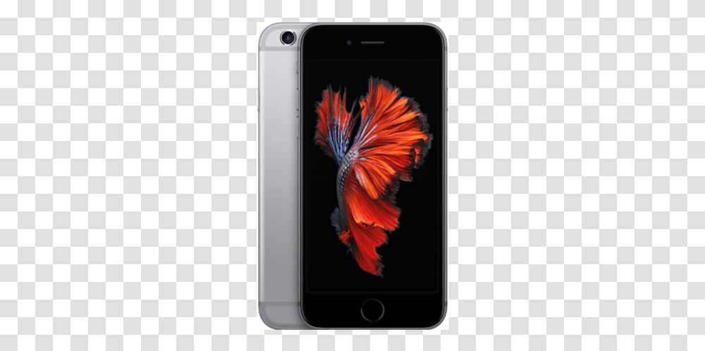 Apple Iphone 6s Plus 32gb Black, Mobile Phone, Electronics, Cell Phone, Bird Transparent Png