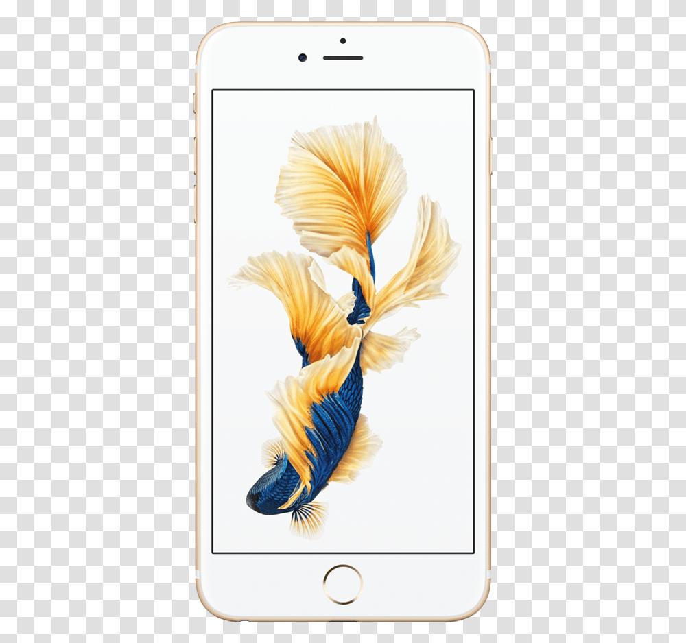 Apple Iphone 6s Plus Iphone Ikan Cupang, Electronics, Mobile Phone, Cell Phone, Bird Transparent Png