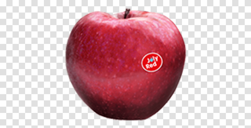 Apple Joly Red, Fruit, Plant, Food, Vegetable Transparent Png