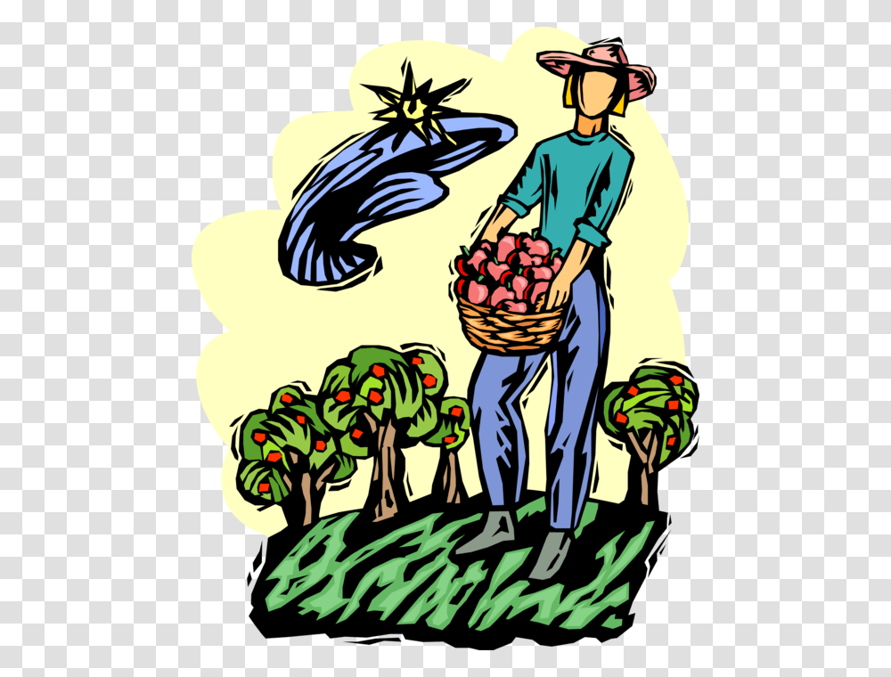 Apple Orchard Harvest Worker, Plant, Person, Market, Outdoors Transparent Png