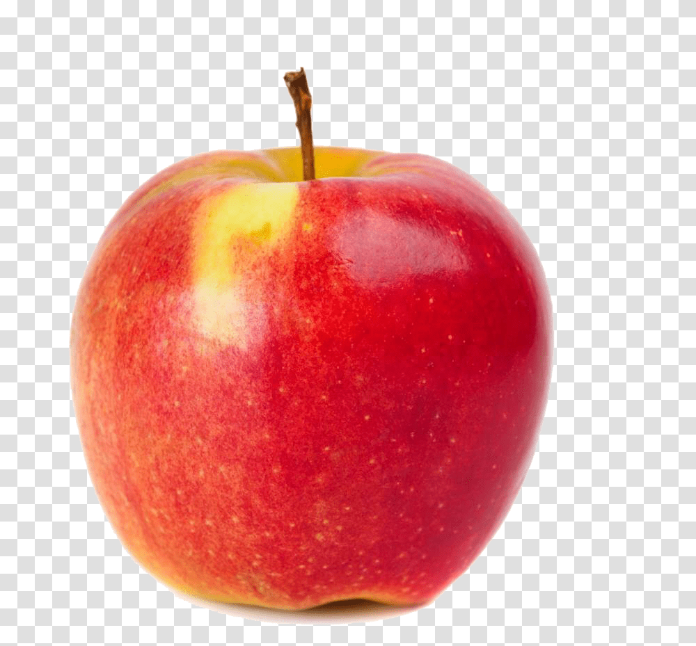 Apple Photography Red Red Apple Download, Fruit, Plant, Food, Vegetable Transparent Png