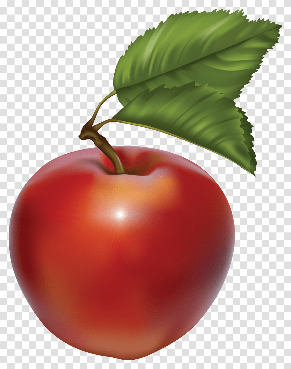 Apple, Plant, Fruit, Food, Cherry Transparent Png