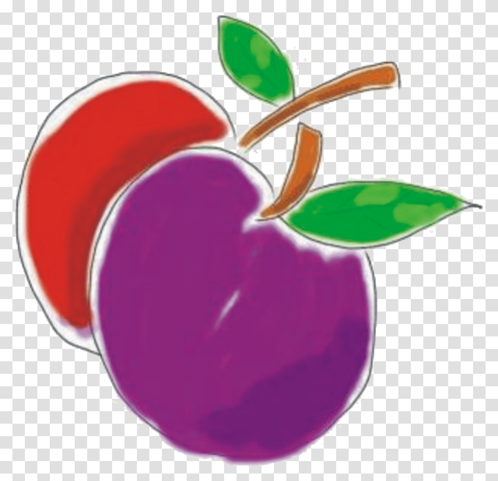 Apple, Plant, Fruit, Food, Plum Transparent Png