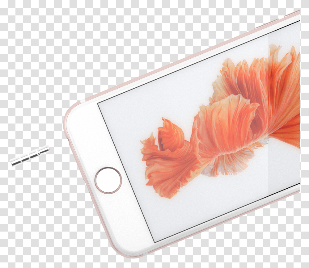 Apple Plug, Fish, Animal, Goldfish, Electronics Transparent Png