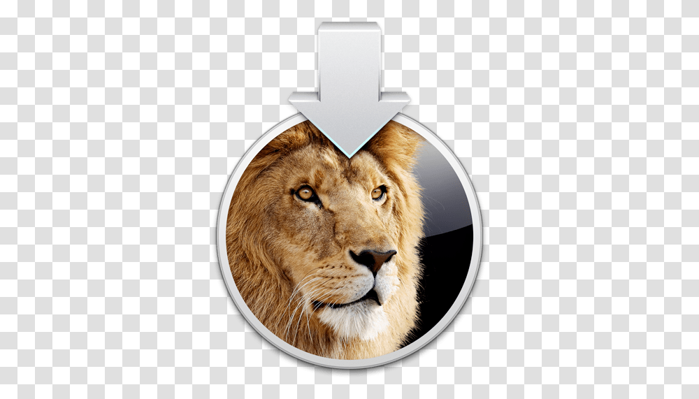 Apple Posts Os X Lion 1073 Os X Lion Installer, Wildlife, Mammal, Animal, Text Transparent Png
