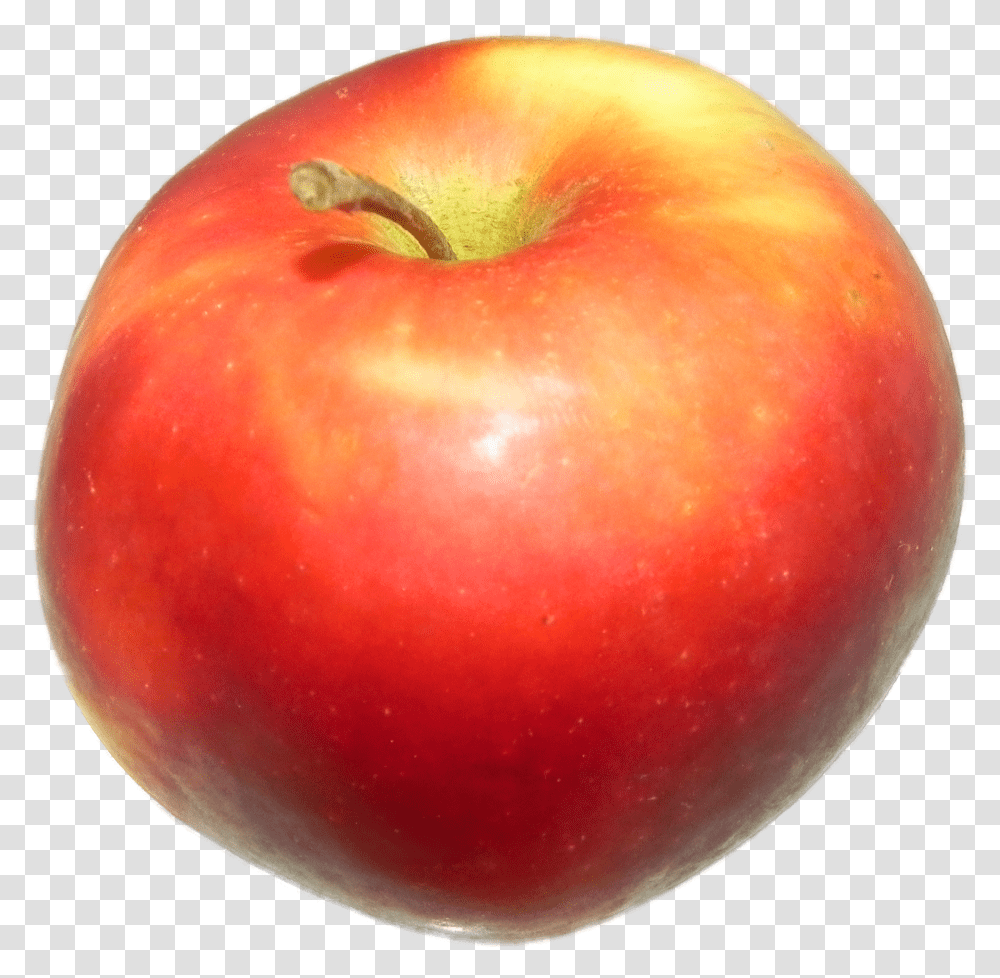 Apple Red 1 Bush Tomato, Fruit, Plant, Food, Vegetable Transparent Png