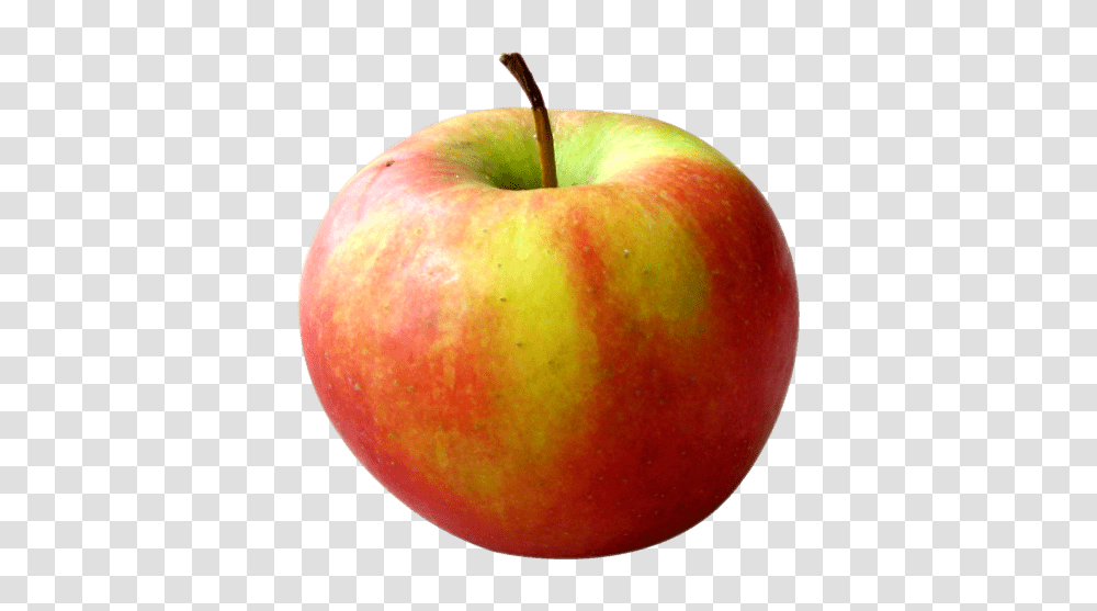 Apple Red, Fruit, Plant, Food Transparent Png