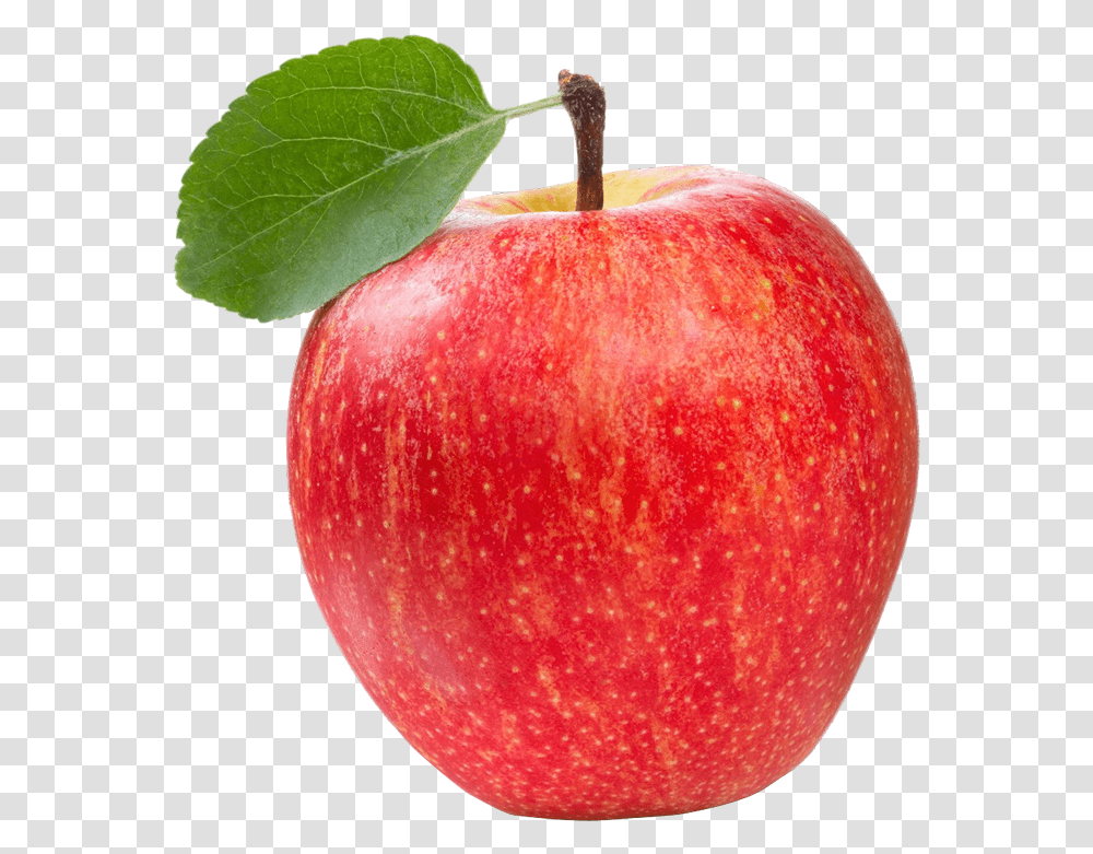 Apple Red Wallpaper Red Wallpaper Apple, Fruit, Plant, Food, Vegetable Transparent Png