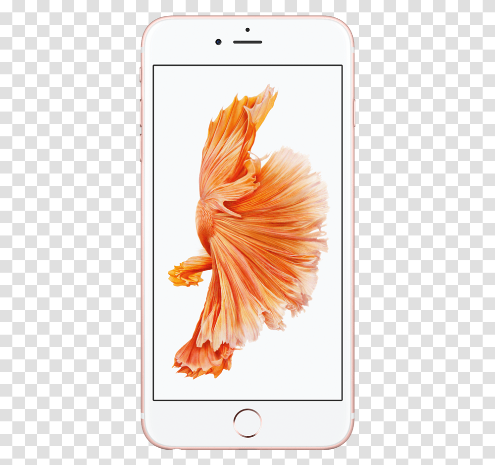 Apple Rose Gold 7 Plus Iphone, Goldfish, Animal, Bird, Chicken Transparent Png