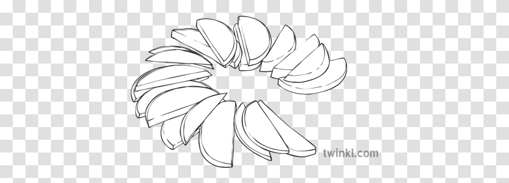 Apple Slices Black And White Apple Slices Line Drawing, Lamp, Art, Insect, Invertebrate Transparent Png