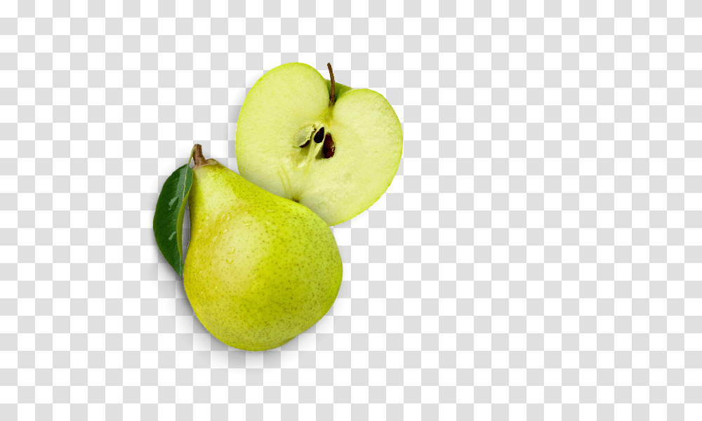 Apple Slices Pear And Apple 1896050 Vippng Apple Top, Plant, Fruit, Food Transparent Png