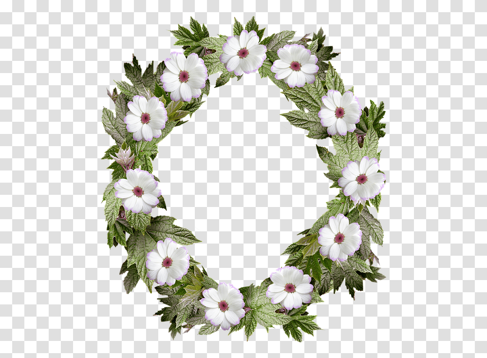 Apple Teacher Clipart Background, Plant, Flower, Blossom, Wreath Transparent Png