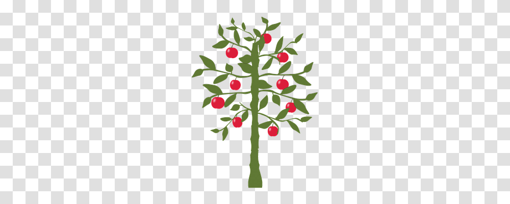 Apple Tree Nature, Plant, Conifer, Fruit Transparent Png