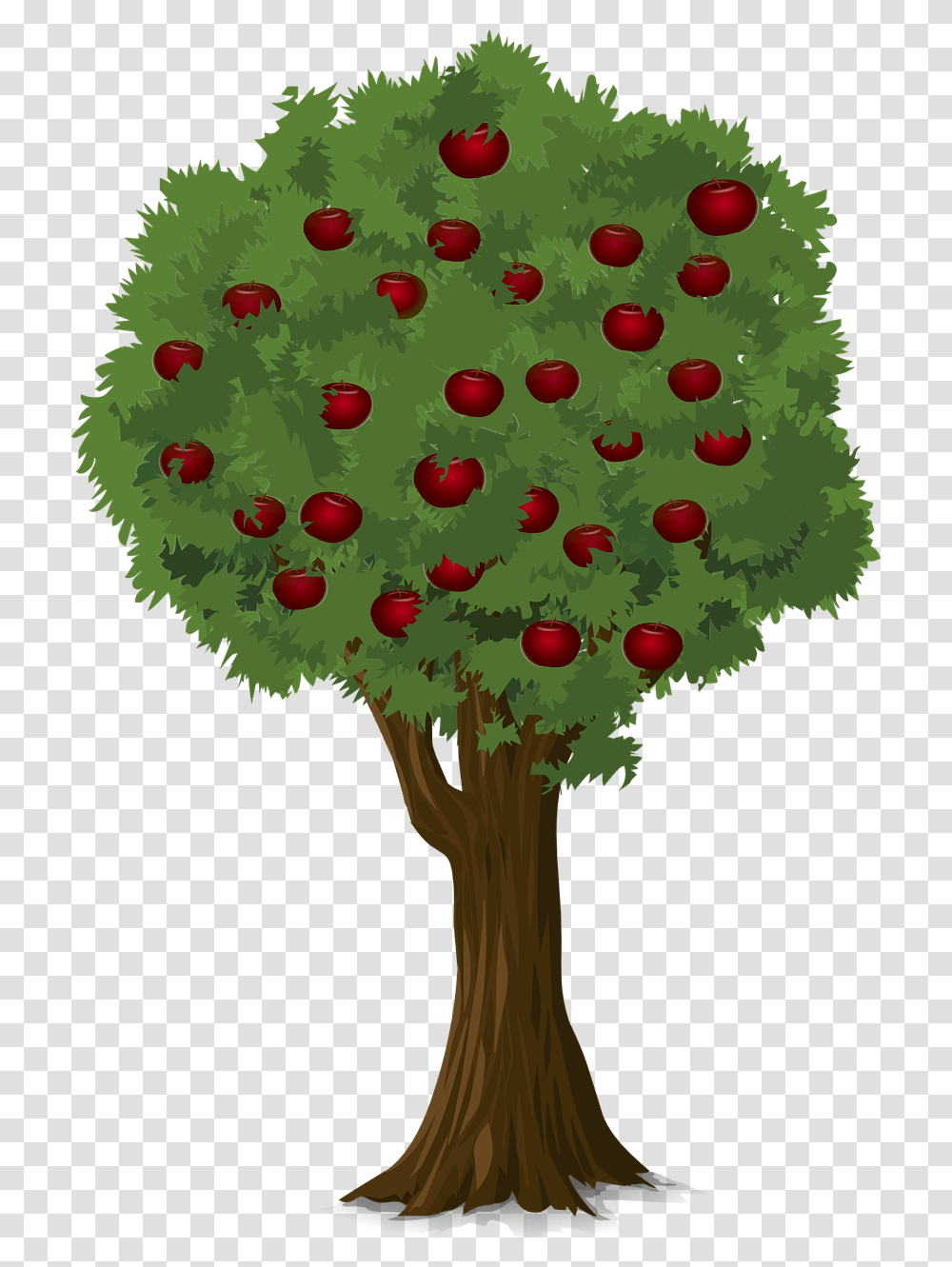 Apple Tree Albero Melo, Plant, Fruit, Food, Cherry Transparent Png