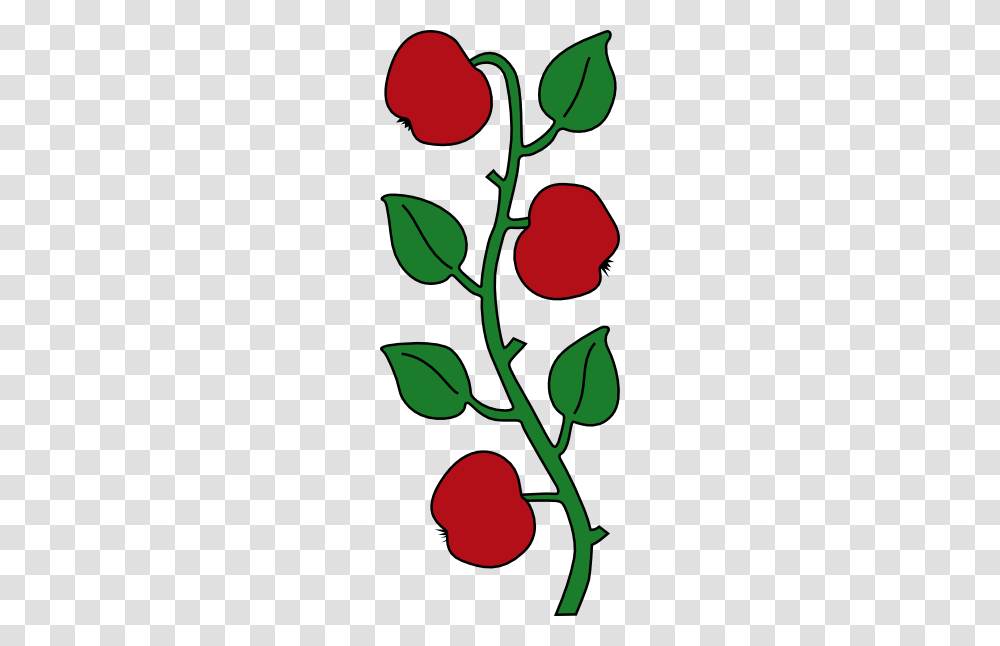 Apple Tree Branch Clip Art, Plant, Leaf, Food, Fruit Transparent Png