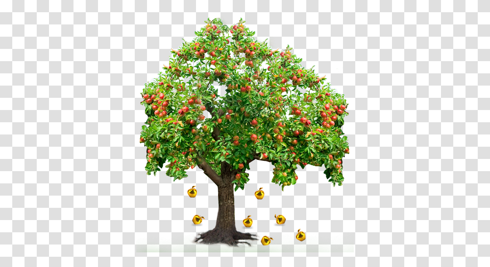 Apple Tree Clipart Images Tree With Many Fruits, Plant, Potted Plant, Vase, Jar Transparent Png